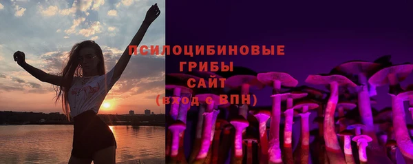 прущая мука Абаза