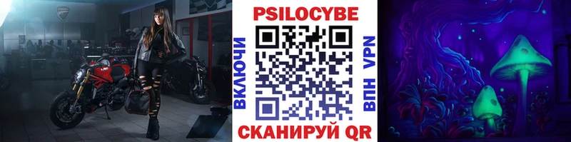 Галлюциногенные грибы Psilocybe  где можно купить наркотик  Димитровград 