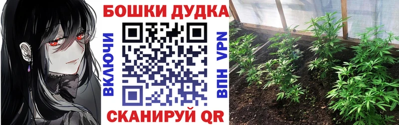 KRAKEN зеркало как найти наркотики Димитровград Шишки марихуана тримм